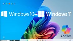 Windows 10/11 Pro License Key